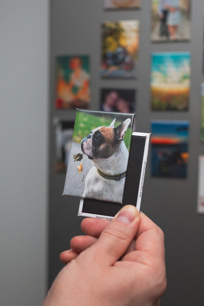 Fridge Magnets - Magneticae Memorias