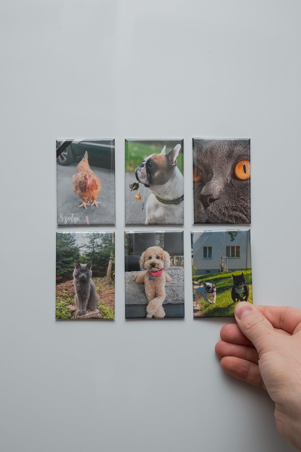 Fridge Magnets - Magneticae Memorias