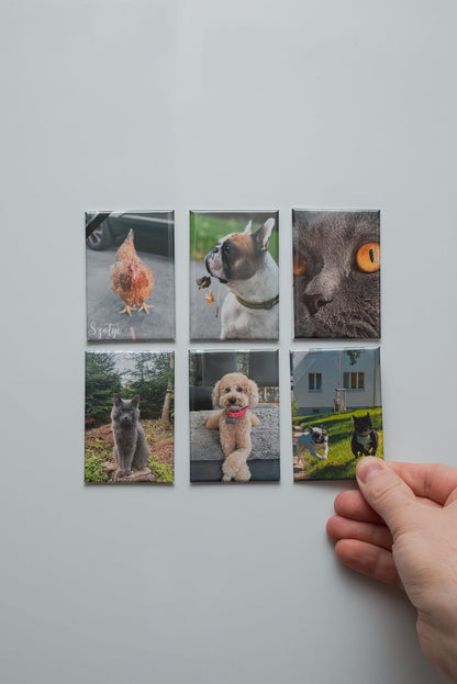 Fridge Magnets - Magneticae Memorias