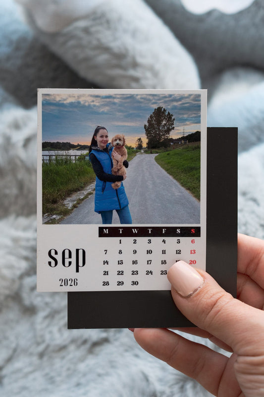 Magnetic Calendar - Magneticae Memorias